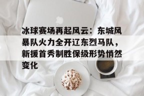 开云体育入口-冰球赛场再起风云：东城风暴队火力全开辽东烈马队，新援首秀制胜保级形势悄然变化的简单介绍